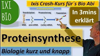 Proteinbiosynthese in 3 Minuten erklärt Transkription Translation Biologie kurz und knapp [upl. by Eelsnia834]