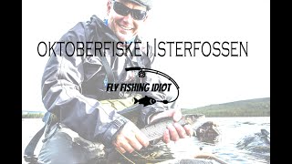 Iskaldt oktobertørrfluefiske i Isterfossen [upl. by Isidoro170]