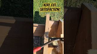 SATISFACTION Removing your kerf cut pieces kerfcut notches hammertime circsaw [upl. by Raval439]