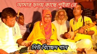 আমার হৃদয় গেছে পুইরারে কালার সাথে নিঘুম পিরিত কইরা  মিনারা সরকার বিচ্ছেদ গান  Baul Manobota TV [upl. by Anawahs]