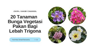 20 Tanaman Bunga Vegetasi Pakan Untuk Lebah TrigonaKlancengKelulut [upl. by Nilram809]