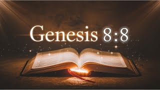 Online Bible Study in English  Learn Bible Verse Genesis 88 thebiblelearnwords TheBible707 [upl. by Tnecillim676]