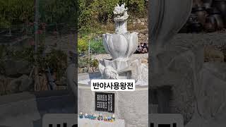 가을에꼭가봐야할곳반야사 빙의 빙의치료 퇴마 퇴마사 [upl. by Kalam]