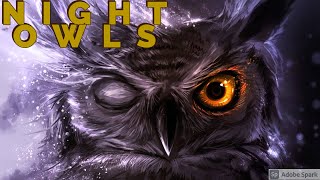 Night Owls on New Movie Trailers [upl. by Crispa]