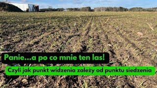 Panie a po co mnie ten las Czyli jak punkt widzenia zależy od punktu siedzenia [upl. by Ailak]