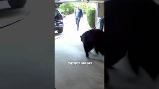 A bear was in this man’s garage 😱 [upl. by Lenna]