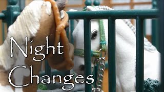 Night Changes  Schleich Music Video  Kingdom [upl. by Rentschler]