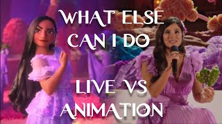 Encanto  What Else Can I Do  Live vs Animation  Side By Side Comparison Diane Guerrero [upl. by Colene]