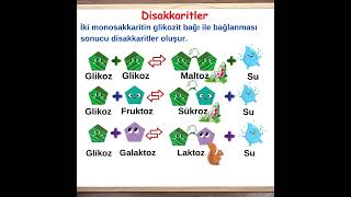 Ritmi Yükselten Bilgiler7 Disakkaritler [upl. by Hijoung882]