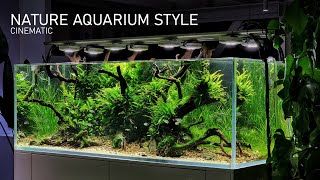 180cm Nature Aquarium Style  Cinematic [upl. by Steffy]