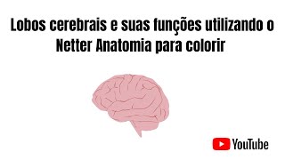 LOBOS CEREBRAIS E SUAS PRINCIPAIS FUNÇÕES  NETTER ANATOMIA PARA COLORIR [upl. by Alisander]