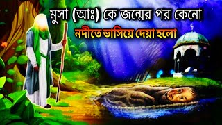 মুসা নবী কে কেন নদীতে ভাসিয়ে দিলেন mucha nobir jiboni [upl. by Arhna204]