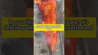 Do you like crispy roasted pig Its delicious when its freshly roasted and eaten [upl. by Analos]