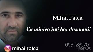 Mihai Falca  Cu mintea îmi bat dușmanii [upl. by Altman]