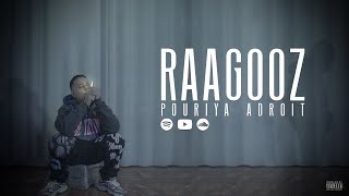 Pouriya Adroit  Raagooz Official Music Video [upl. by Nobile]