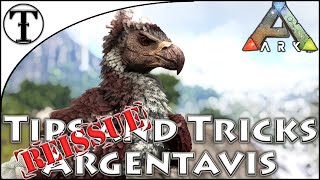 Fast Argentavis Taming Guide  Ark  Survival Evolved Tips and Tricks [upl. by Aihsekel]