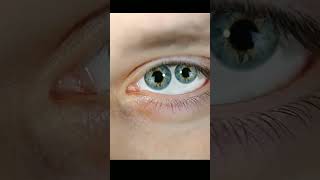 Two Pupils in One Eye😱 facts youtubeshorts short shortsfeed eyes [upl. by Nelie71]