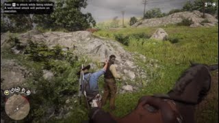 Red Dead Redemption 2 Ambush Near Rhodes [upl. by Tansey]