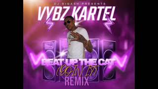 Vybz Kartel  Beat Up The Cat  Official Audio [upl. by Zedecrem]