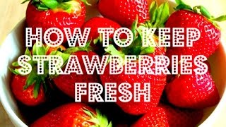 How to Keep Strawberries Fresh Using White Vinegar [upl. by Littlejohn504]