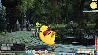 FFXIV Moogle Delivery Quests  Carrier Level 6  Thwack A Mole [upl. by Aicilic]