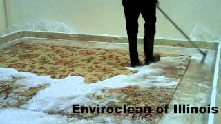 How to Properly Clean Fine Wool and Oriental Area Rugs [upl. by Bergman]