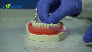 Dental polishing strip using process [upl. by Annaoi]