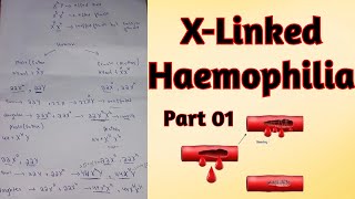 Genetics of X Linked Haemophilia disorder lWhy blood fails to clot in Human lFor ClassXII and Mdcat [upl. by Cardie]