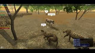 Wild Savanna WIP Pack Of Cheetahs ROBLOX 2018 [upl. by Sachsse638]