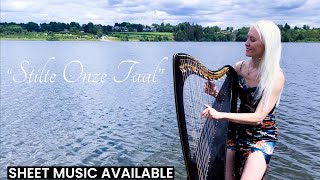 Stilte Onze Taal Camille Celtic Harp Cover [upl. by Morie]