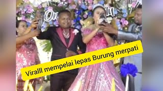 virallll 2 Ekor burung merpati di lepas sebagai Tanda kedua mempelai lepas masa lajang ❤️❤️❤️❤️ [upl. by Jorry]