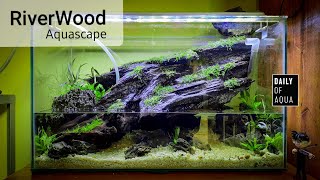 AQUASCAPE BIG DRIFTWOOD Full Planting Timelapse  Aquascape Kayu Sungai [upl. by Audly]