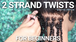 How to do 2 strand twists for beginners [upl. by Freeland650]