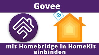 Govee in HomeKit integrieren mit Homebridge [upl. by Siegler532]