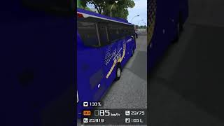 Jet bus illuminati 🔥💥🚩🦁👑♥️❤️😍 [upl. by Ennovi]