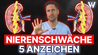 Nierenschwäche 5 Anzeichen dass Deine Nieren nicht richtig funktionieren  Typische Symptome [upl. by Winzler47]