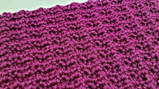 How To Crochet An EASY Stitch For Blankets and Scarfs  Double Crochet Trio Stitch [upl. by Eseerahs149]