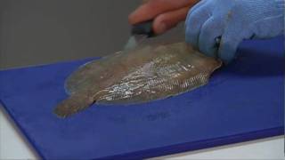 How to fillet a flat fish [upl. by Epilif337]