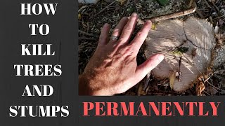 How to Kill trees stumps shrubs the easy way and stop regrowth  sprouting permanently [upl. by Gerty]