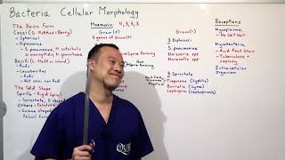 Bacterial Cellular Morphology Infectious Disease Ch1 P4 [upl. by Thormora918]