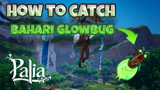 How to Catch the Bahari Glowbug  Palia [upl. by Sherborn791]