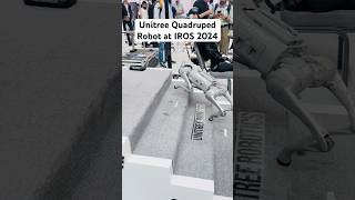 Quadruped Robot Walking down the Stairs at IROS 2024 [upl. by Aihk]