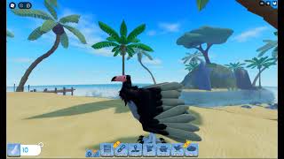 Unlocked Argentavis Feather Family [upl. by Siseneg]