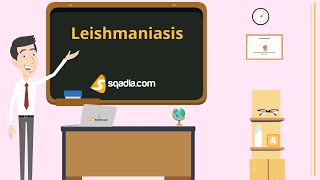 Leishmaniasis  Animation Video  Infectious Medicine  VLearning™  sqadiacom [upl. by Anirec153]