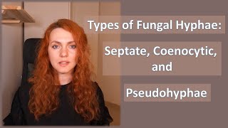 Types of Fungal Hyphae Septate Coenocytic and Pseudohyphae [upl. by Virge]