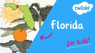 🍊 All About Florida for Kids  Florida History and Fun Facts  Twinkl USA [upl. by Kreitman]