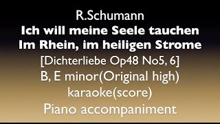 Dichterliebe Op48 No5 6 R Schumann B E minorOriginal high Piano accompanimentkaraoke [upl. by Tabbatha]