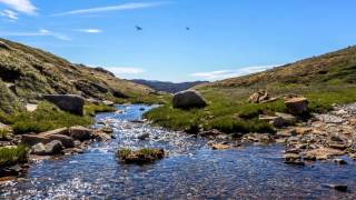 Kosciuszko National Park  The Main Range and Dead Horse Gap Tracks [upl. by Anigue]