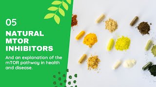 mTOR Explained  mTOR Signaling Pathway  mTOR Inhibitors Mechanism of Action  mTOR Inhibitors [upl. by Silda]
