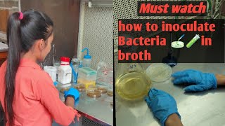 How to inoculate Bacteria in broth broth culturing [upl. by Samohtnhoj]